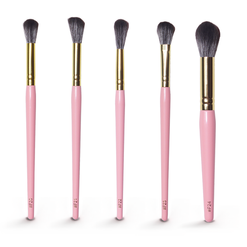 20pc Brush Set